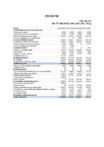 Referāts 'Finanšu pārskatu analīze organizācijas SIA “X”', 27.