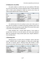 Biznesa plāns 'Bērnu robotikas un programmēšanas pulciņa biznesa plāns Rīgā un Pierīgā', 9.