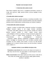 Konspekts 'Bērnu runas traucējumi, to novēršana', 4.