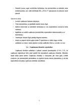 Biznesa plāns 'SIA "CS24.LV" biznesa plāns', 7.