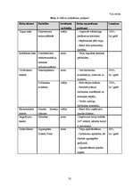 Biznesa plāns 'SIA "CS24.LV" biznesa plāns', 32.