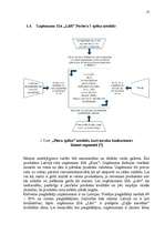 Referāts 'Konkurētspējas analīze SIA "Lāči"', 12.