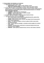 Konspekts 'Atbildes eksāmena jautājumiem amatniecības un dizaina stratēģijā', 5.