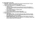 Konspekts 'Atbildes eksāmena jautājumiem amatniecības un dizaina stratēģijā', 19.