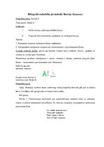 Konspekts 'Bilingvālā nodarbība pirmsskolā: Burtiņi', 1.