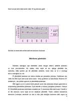 Referāts 'Atkritumi', 6.