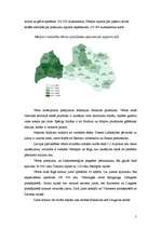 Referāts '2005.gada 9.janvāra vētra', 5.