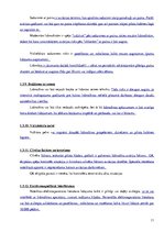 Referāts 'Gaisa kuģu cilvēku evakuācijas sistēma', 11.