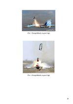 Referāts 'Gaisa kuģu cilvēku evakuācijas sistēma', 28.