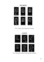 Referāts 'Gaisa kuģu cilvēku evakuācijas sistēma', 30.