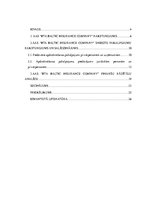 Referāts 'AAS “BTA Baltic Insurance Company” darbības analīze', 3.