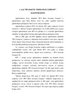 Referāts 'AAS “BTA Baltic Insurance Company” darbības analīze', 6.