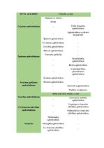 Referāts 'AAS “BTA Baltic Insurance Company” darbības analīze', 11.