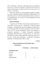 Referāts 'AAS “BTA Baltic Insurance Company” darbības analīze', 13.