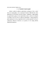 Referāts 'AAS “BTA Baltic Insurance Company” darbības analīze', 18.