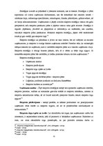 Diplomdarbs 'Latvijas eksporta veicināšana', 31.