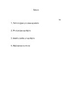 Referāts 'Vārītavas nodaļas projekts alus šķirnei "Aldara Luksus"', 2.