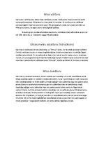 Referāts 'Vārītavas nodaļas projekts alus šķirnei "Aldara Luksus"', 4.