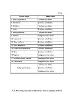 Referāts 'Vārītavas nodaļas projekts alus šķirnei "Aldara Luksus"', 11.