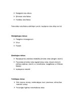 Referāts 'Vārītavas nodaļas projekts alus šķirnei "Aldara Luksus"', 13.