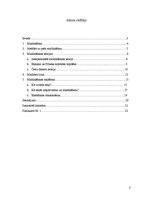 Referāts 'Maldināšana', 2.