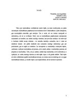Referāts 'Maldināšana', 3.
