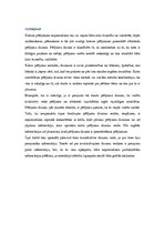 Referāts 'Pētījuma dizains', 13.