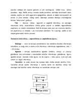 Referāts 'Atmiņas veidi un to attīstīšanas paņēmieni', 5.