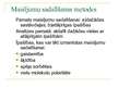 Prezentācija 'Naftas produkti un ar tiem piesārņotas vides rekultivācija', 8.