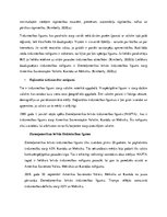 Referāts 'Tirdzniecības līgumi', 2.