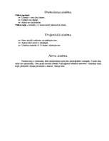 Konspekts 'Pediatrisku pacientu aprūpes vēsture', 9.