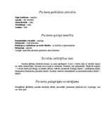 Konspekts 'Pediatrisku pacientu aprūpes vēsture', 10.