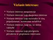 Prezentācija 'Viešojo administravimo pagrindai', 13.