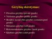 Prezentācija 'Viešojo administravimo pagrindai', 18.