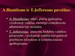 Prezentācija 'Viešojo administravimo pagrindai', 41.