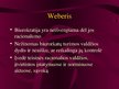 Prezentācija 'Viešojo administravimo pagrindai', 61.
