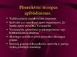 Prezentācija 'Viešojo administravimo pagrindai', 64.