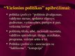 Prezentācija 'Viešojo administravimo pagrindai', 77.