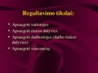 Prezentācija 'Viešojo administravimo pagrindai', 89.