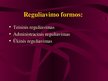 Prezentācija 'Viešojo administravimo pagrindai', 90.