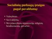 Prezentācija 'Viešojo administravimo pagrindai', 120.