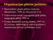 Prezentācija 'Viešojo administravimo pagrindai', 222.