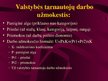 Prezentācija 'Viešojo administravimo pagrindai', 244.
