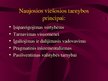 Prezentācija 'Viešojo administravimo pagrindai', 251.