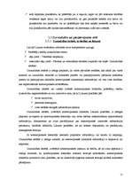 Referāts 'Negodīgas komercprakses aizliegums', 15.