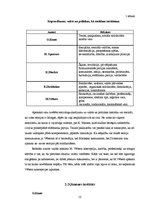 Referāts 'Sociālie institūti socioloģijas teorētiķu skatījumā', 12.