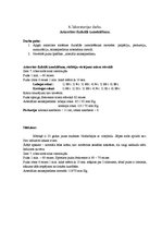 Paraugs 'Asinsrites fizikālā izmeklēšana', 1.