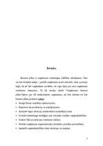 Biznesa plāns 'Uzņēmuma "Virtuves mēbeles" biznesa plāns', 3.