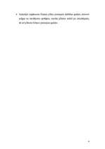 Biznesa plāns 'Uzņēmuma "Virtuves mēbeles" biznesa plāns', 4.