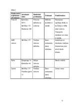 Biznesa plāns 'Uzņēmuma "Virtuves mēbeles" biznesa plāns', 12.